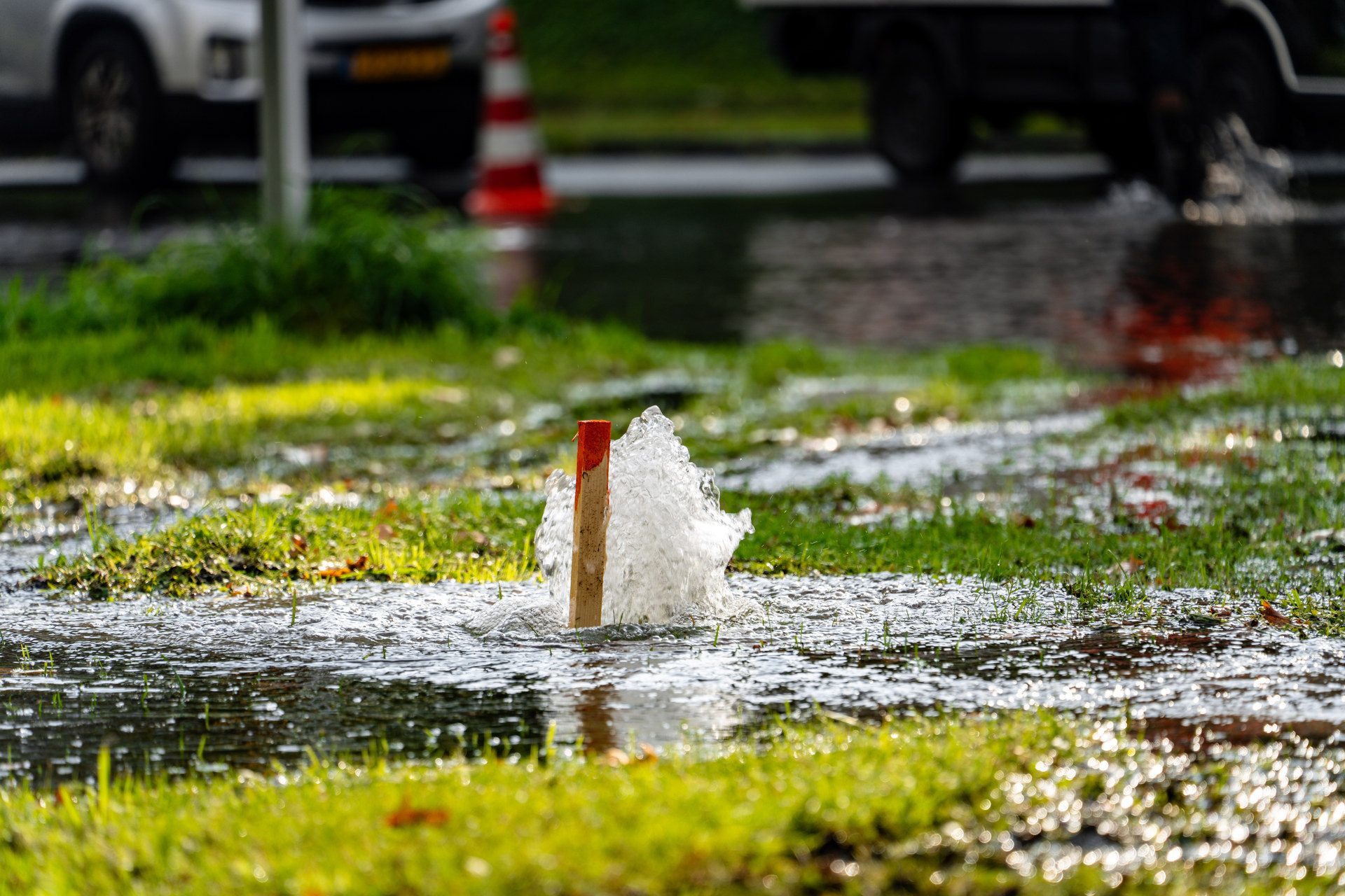 Marker stake standing in a splash of floodwater on a grassy verge, with blurred cars in the background.
