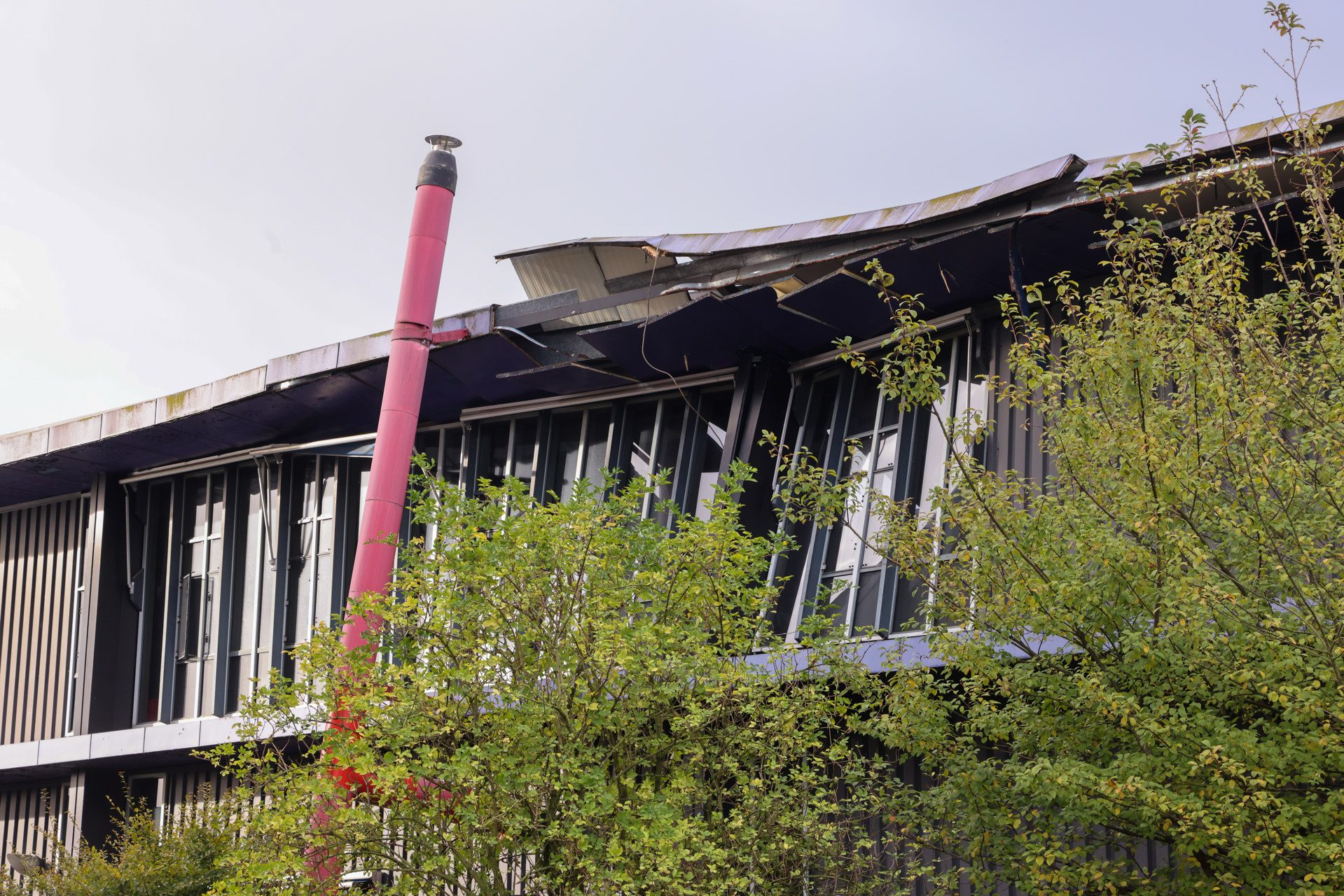 A deteriorating two‑story building with a bent metal roof, pink vent pipe, and overgrown trees in front.